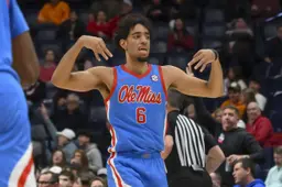 Ilias Kamardine a été très complet pour sortir les Georgia Bulldogs à la Bridgestone Arena.