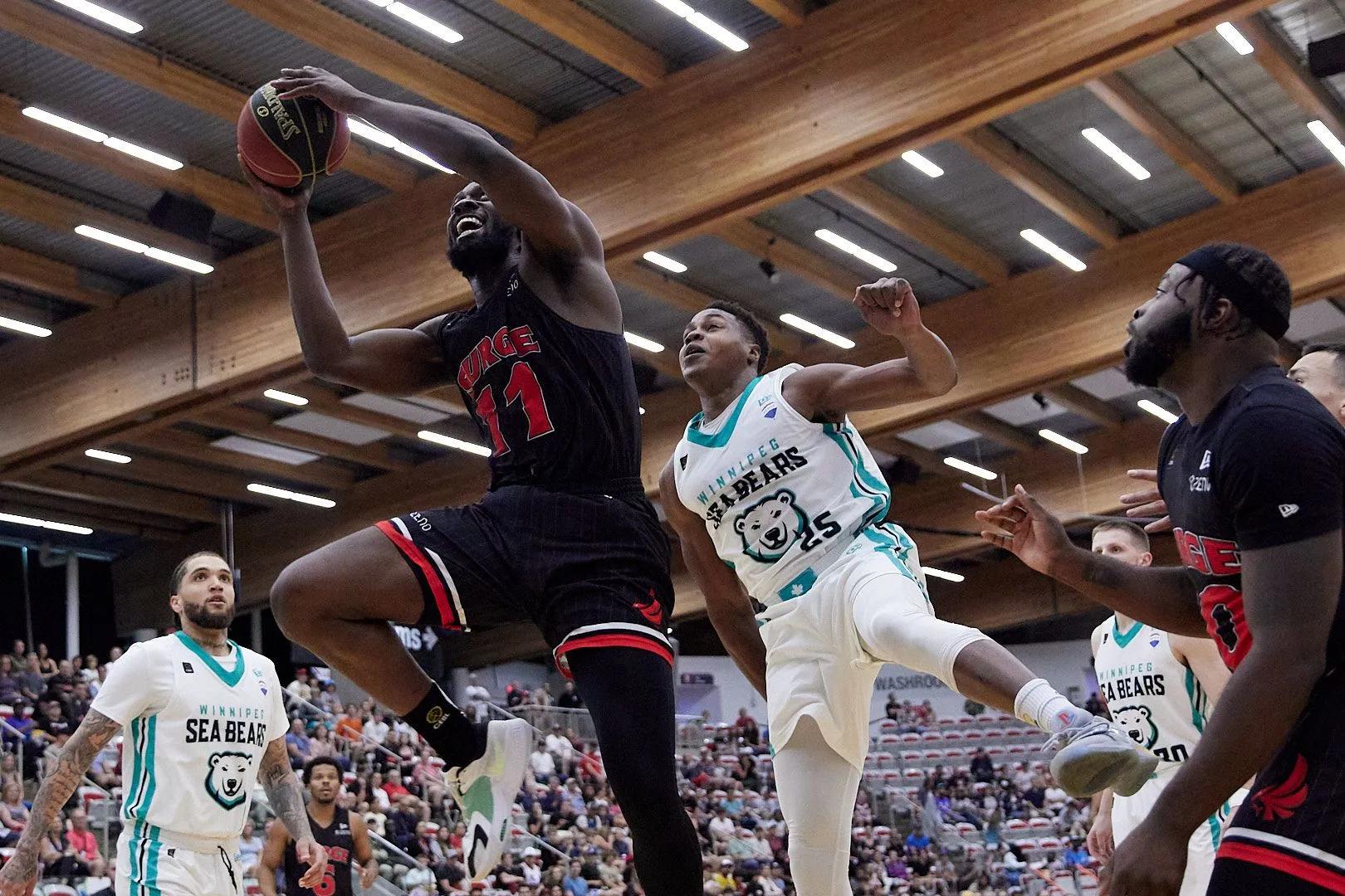 Simisola Shittu est le nouveau pivot du Limoges CSP