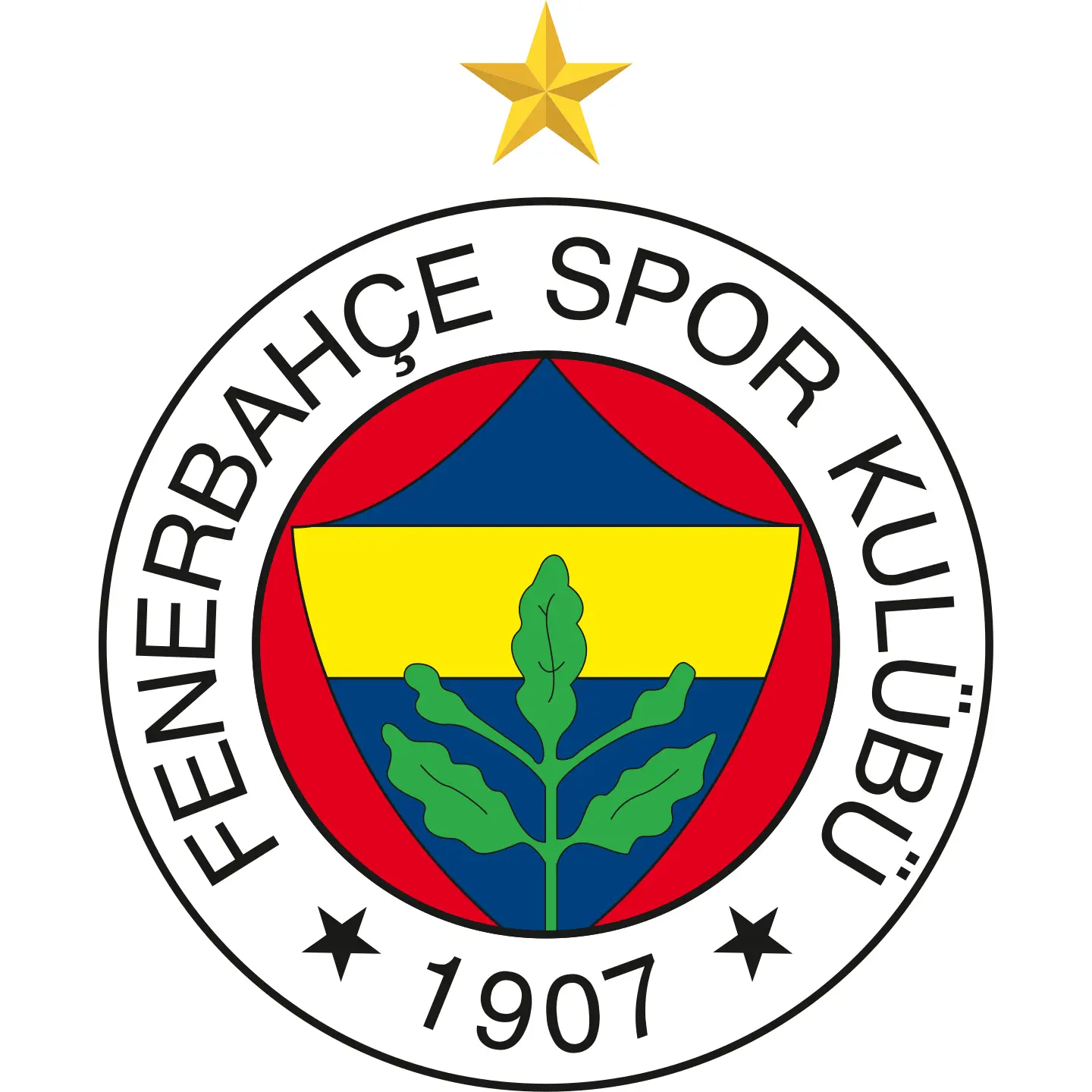 Fenerbahce Opet féminin